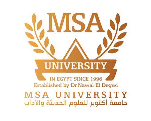 MSA University